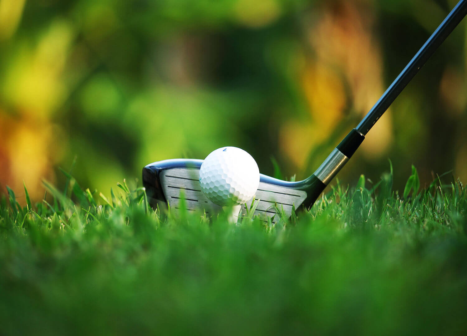 Sports-and-recreation